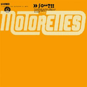 I Hate To See You Cry by The Motorettes
