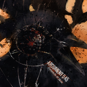 Тысячи птиц