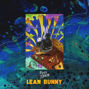 Lean Bunny - Single