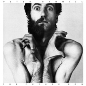 The Cut by Peter Hammill