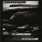 A Second Very Heavy Grief by Necrophorus