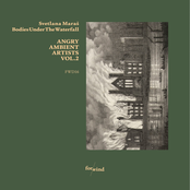 Angry Ambient Artists, Vol. 2