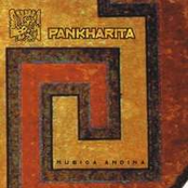 pankharita