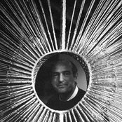 harry bertoia