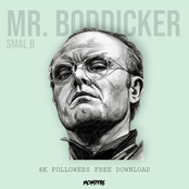 SMAL B: MR. BODDICKER