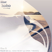Polar Ice Incl Adam Nickey And Spark 7 Remixes