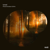 Pineal Activation 528 Hz