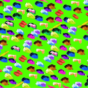 Anteater's Dream