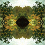 La Siembra, La Espera Y La Cosecha