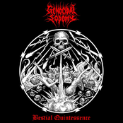 Bestial Quintessence