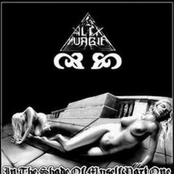 In the Shade of Myself Part One: Wounds Remain