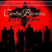 Cantus Buranus Album Picture