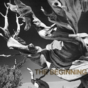 The Beginning