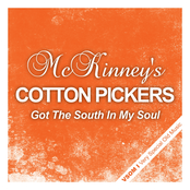 I Want Your Love by Mckinney's Cotton Pickers