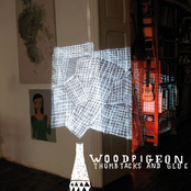 The Saddest Music In The World by Woodpigeon