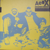 Fluxx by Aeox