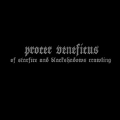 Somn by Procer Veneficus