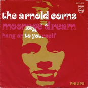 Hang On To Yourself by The Arnold Corns