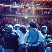 Anatomy Of A Love Affair by The Waterboys