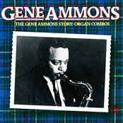 Satin Doll by Gene Ammons