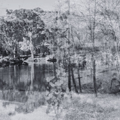 Memories, Dreams, Reflections