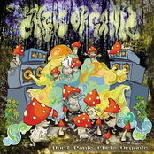 Don't Panic Chris Organic