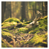 Ascending / / Descending