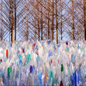 girls just wanna haunt me