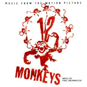 12 monkeys