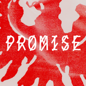 Promise