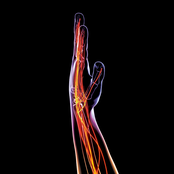 Stealth (Parkes Tribute)