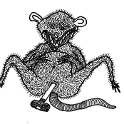 U.S WINTER TOUR TAPE