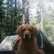 I Fell Apart (In Your Apartment)