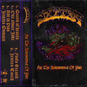 For the Amusment of You - EP