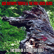 Ramble by Acid Mothers Temple & The Pink Ladies Blues