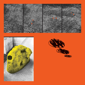 Des litres d'essence