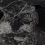 Please Don't Make Me Stand Here All Damn Night