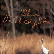 Mẹ - Cánh chim cô đơn