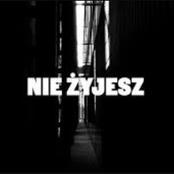 Nie żyjesz