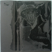 To The Point Of Exhaustion