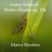 Petites Études op. 136