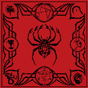 The Spider Goddess