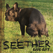 Seether: 2002-2013 Album Picture