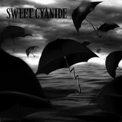 Soul Searcher by Sweet Cyanide