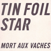 Cold Morning Effect by Tin Foil Star