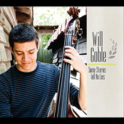 Some Stories Tell No Lies