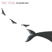 Circles And Circuses by Baby Whale