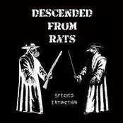 descended from rats