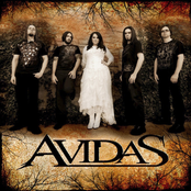 Living Without You by Avidas