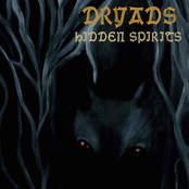Hidden Spirits